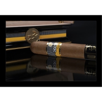 Cohiba Siglo de Oro Ano Chino 18 Stück 