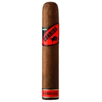 Corrida Honduras Robusto 20 Stück 