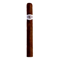 Jose L. Piedra Petit Cazadores 12 Stück 