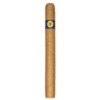 Santa Damiana Churchill 
